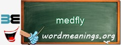 WordMeaning blackboard for medfly